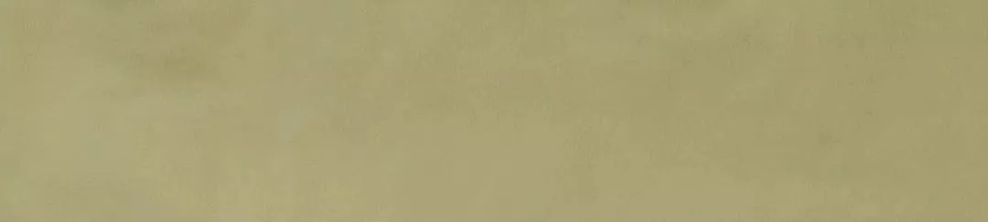 Salvia Glossy 5,7x23,2