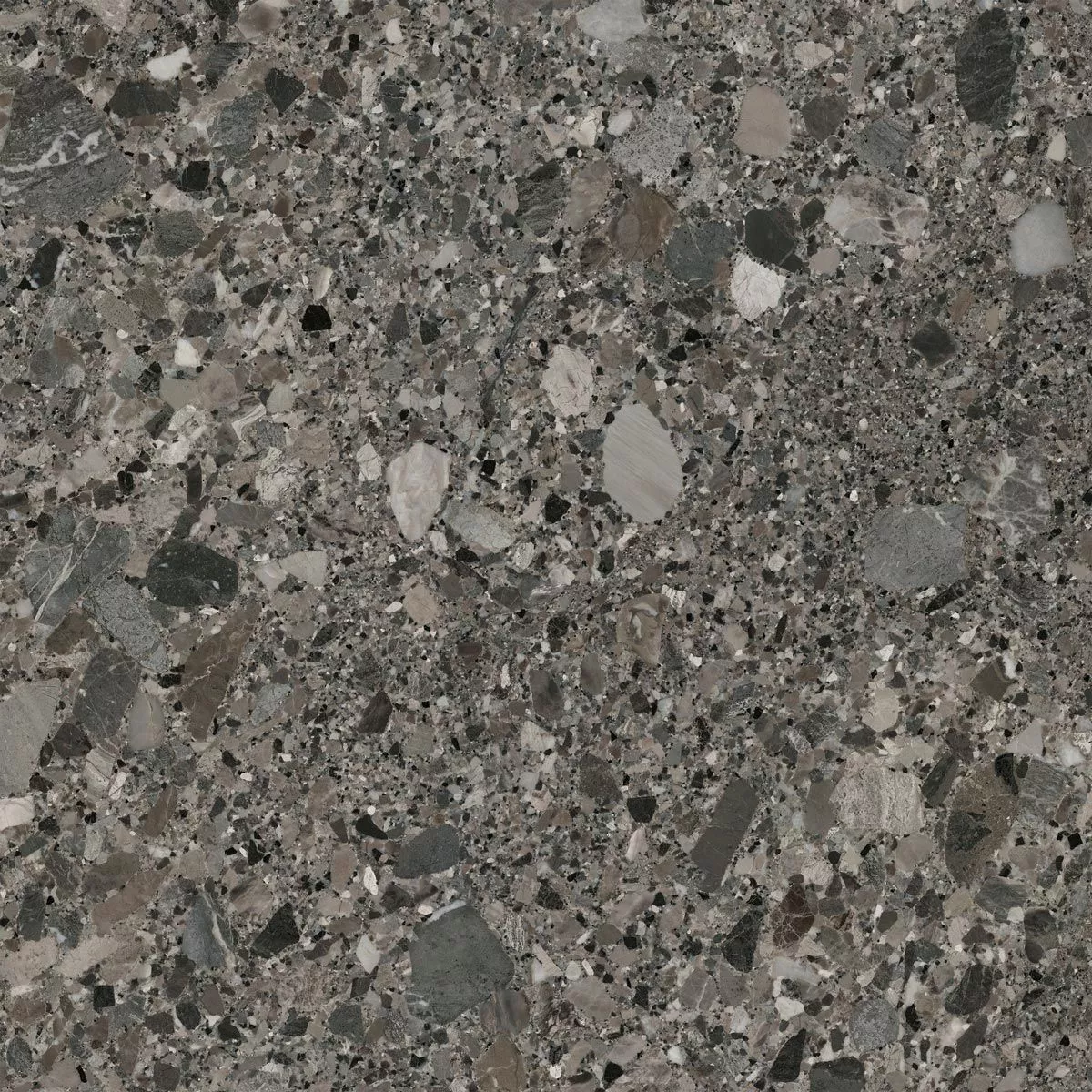 Grigio Antic 120x120