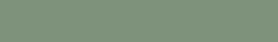 STRIP Color 28 Light Green 2.1x13.