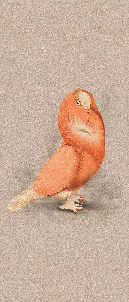 Cloistered Dove 120x280