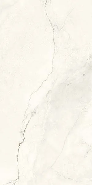 BONE 60x120
