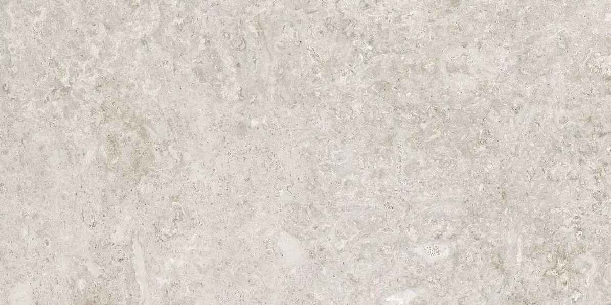 Marfil (antic) 60x120