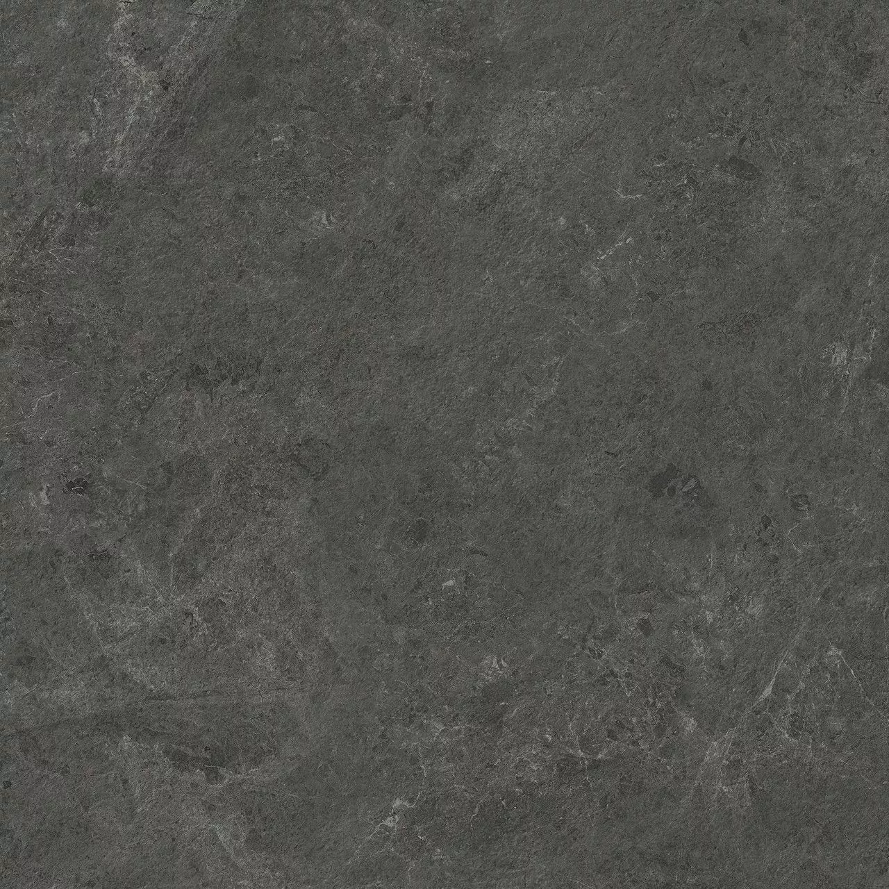 Charcoal Matt Sensitech 60x60