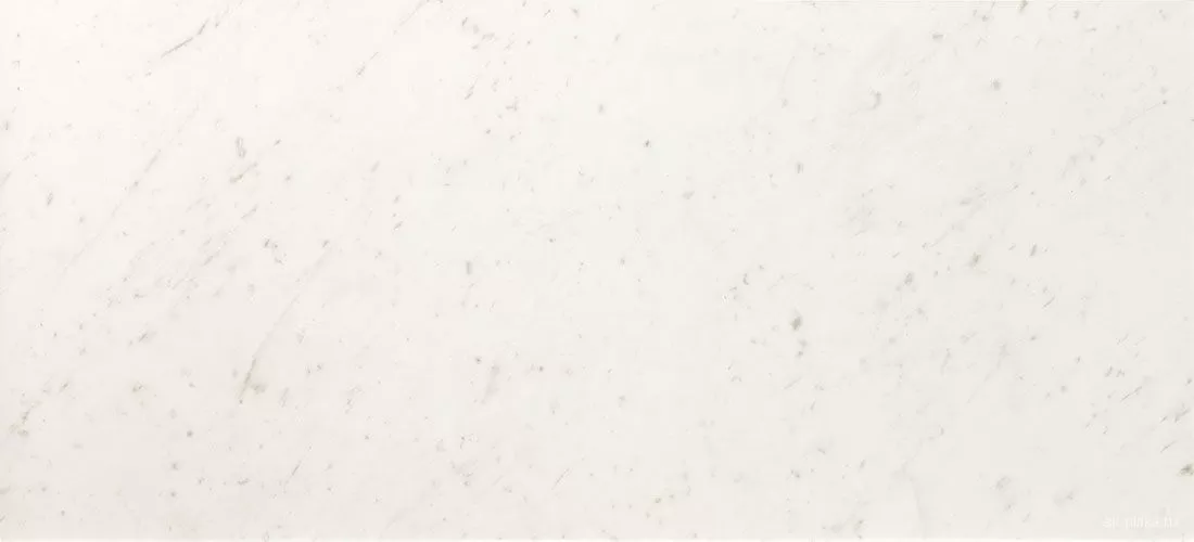 120 Carrara Brillante 50x120