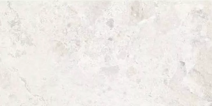 Breccia White Matt 60x120