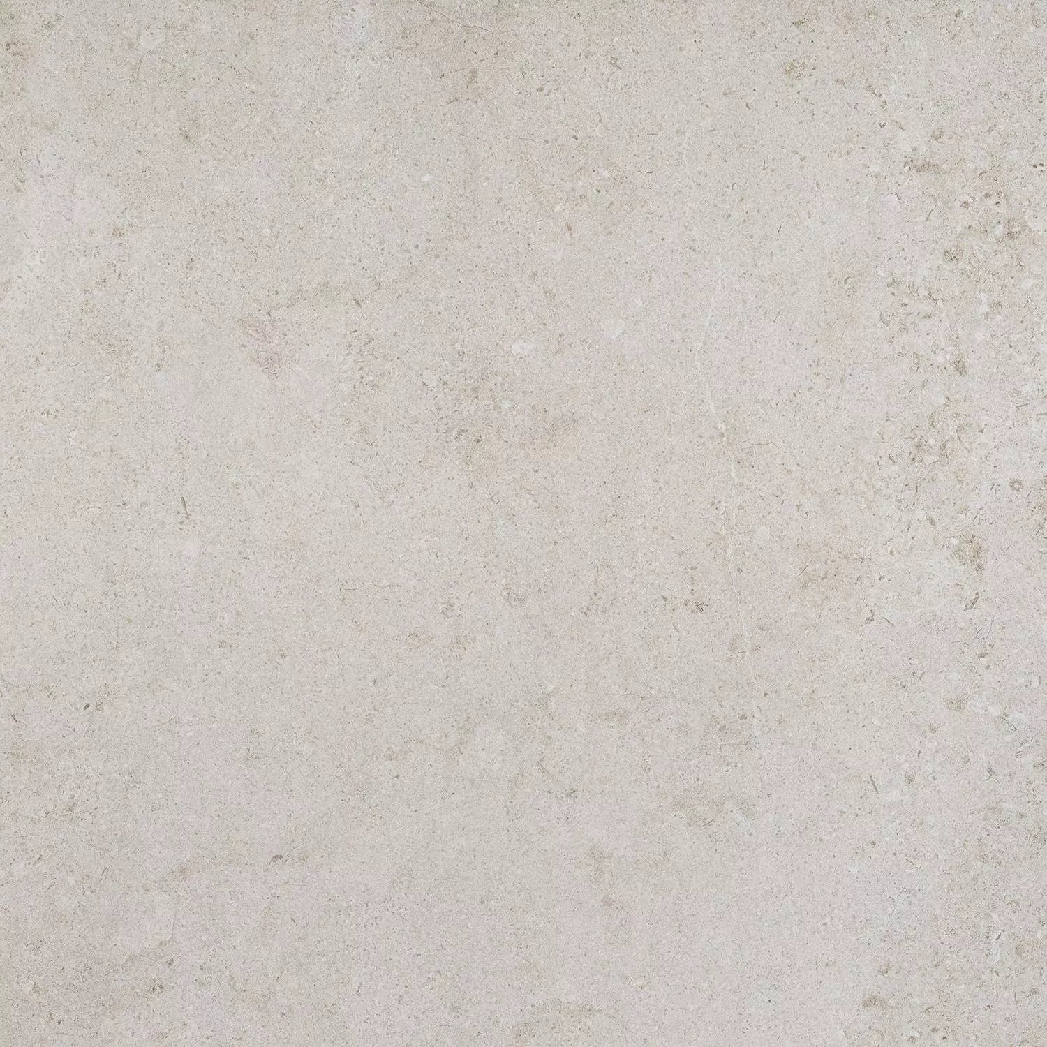 Ivory Matt Rect 100x100