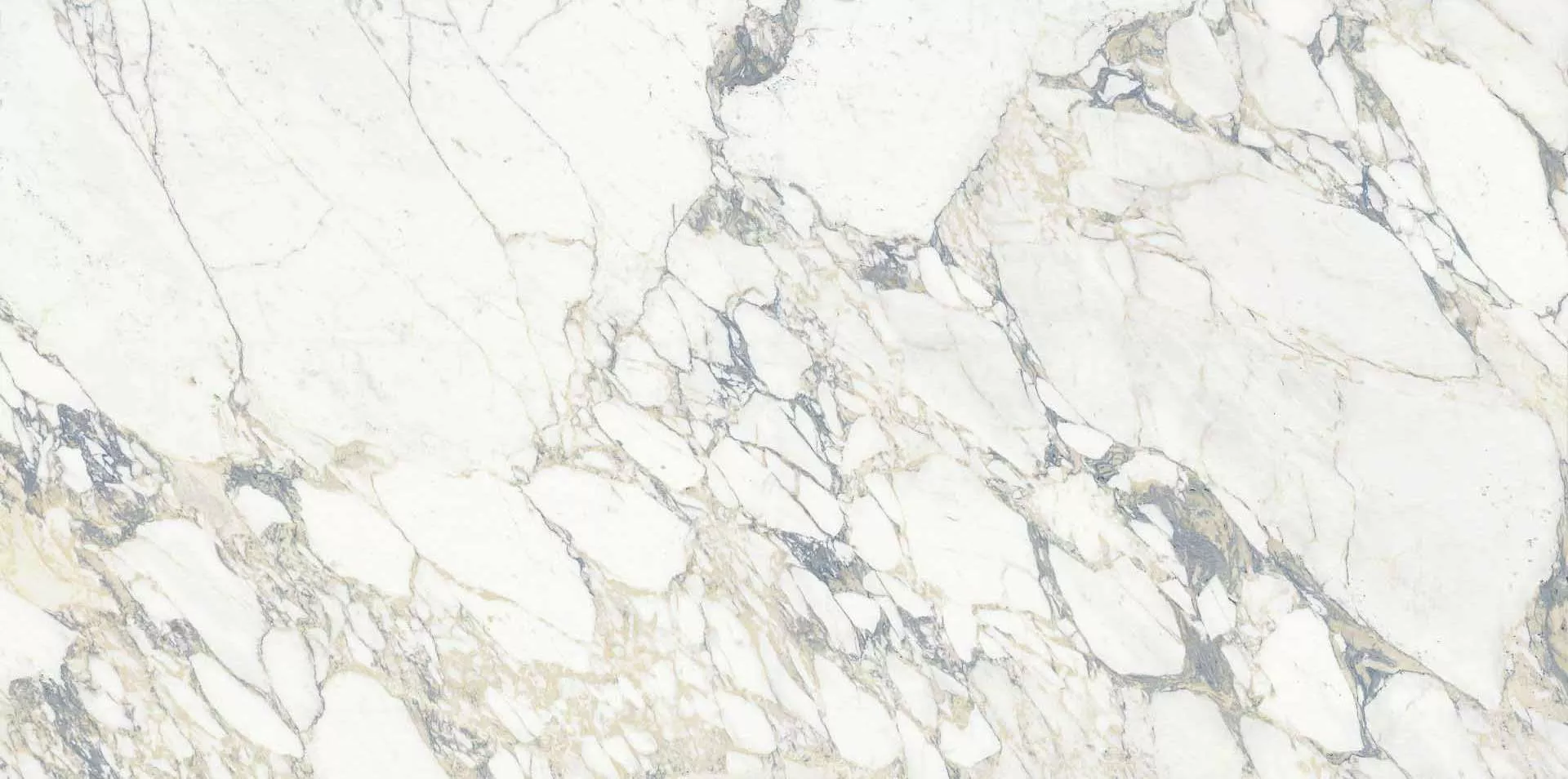 Arabescato Lucido 75x150