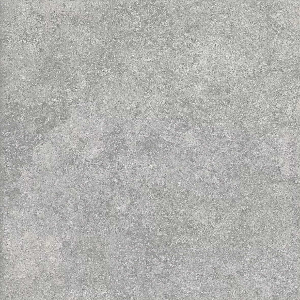 Fossil Gris 20mm 60x60