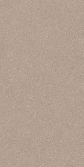 Grains Taupe 60x120