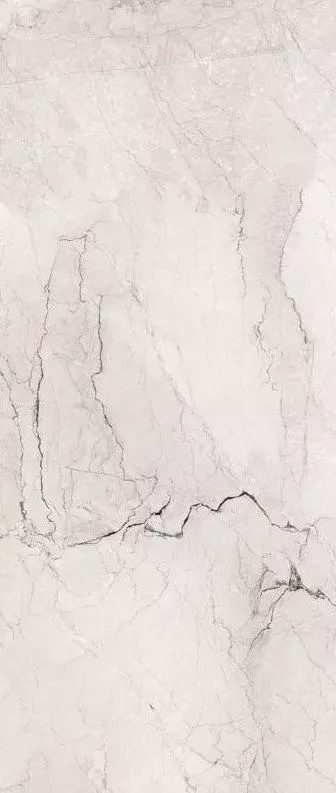 Camouflage AE CAM6 278 LP 120x278