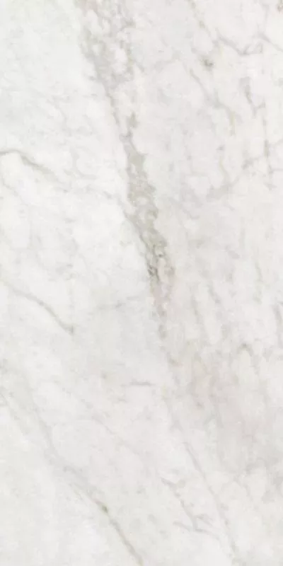 CARRARA  AN3 R 60x120