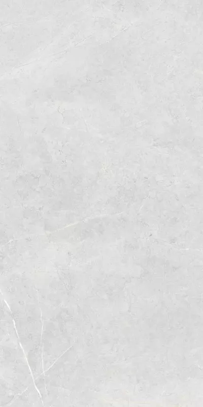 P.E. MT Light Grey Rect. 60x120