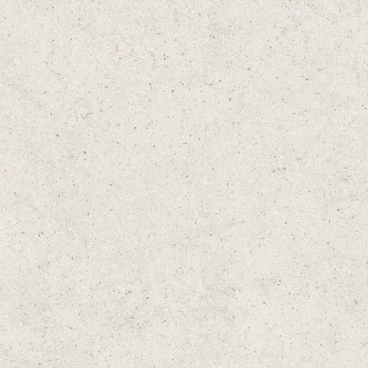 Stone Polar Matt Rect 80x80