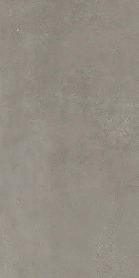 Taupe 60x120